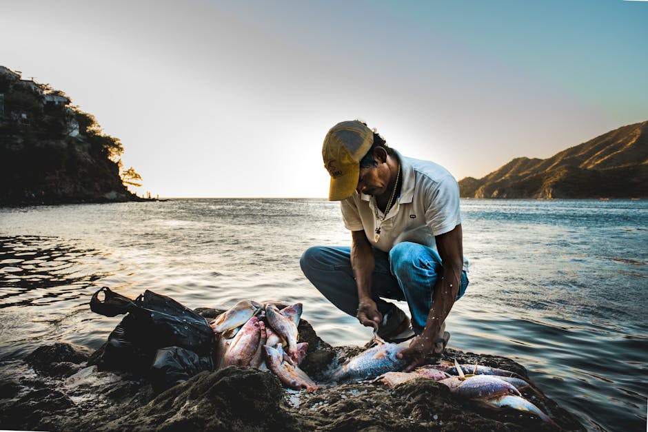 Sustainable Fishing: What UK Consumers Should Know