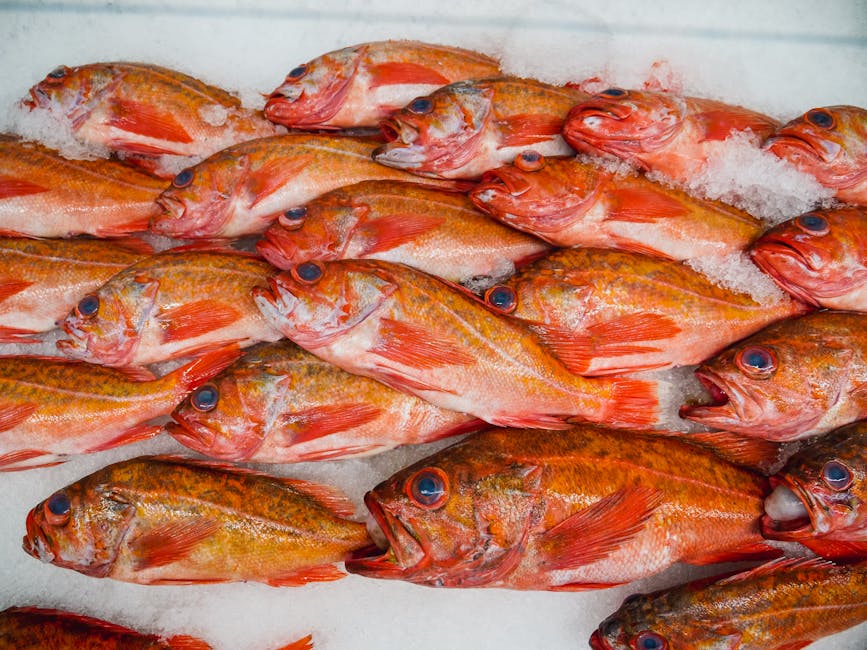 How to Choose Fresh Fish at the Market